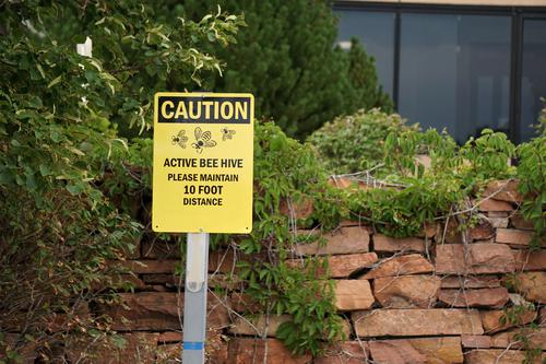 Safety Insurance's Dividend Lure Masks Persistent Insider Selling and Earnings Headwinds