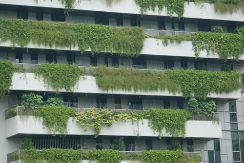 What is GreenBuilding AI and Why Does Its System Matter