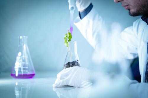 Why Tethis S.p.A.'s SmartBioSurface® Slides Are Gaining Traction in Liquid Biopsy