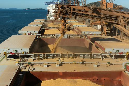 Is Star Bulk Carriers (SBLK) Poised for a Strong Q1 2026 Earnings Beat