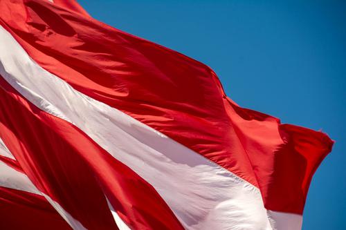Is Flex's Recent Insider Selling a Red Flag for Investors