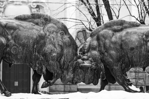 Is the "Great Rotation" Real, and What Does History Tell Us