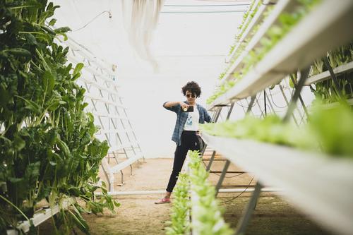 Has Vertical Farming's Dream Turned into a Nightmare for Investors