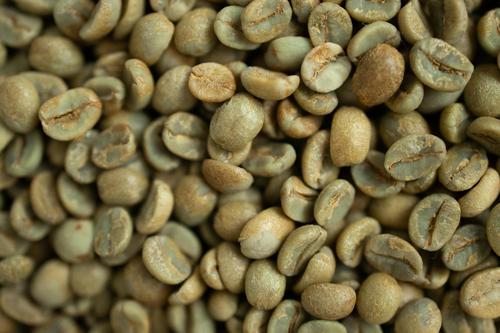 Is Westrock Coffee Company (WEST) Brewing a Comeback