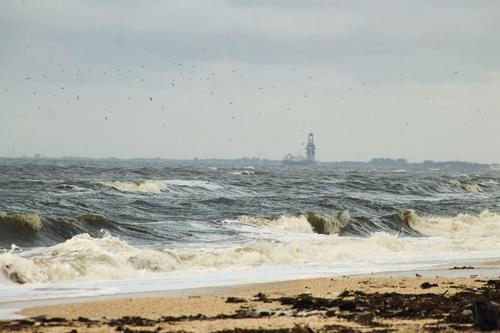 What's Behind the Recent $38 Million Insider Sale in Talos Energy (TALO)