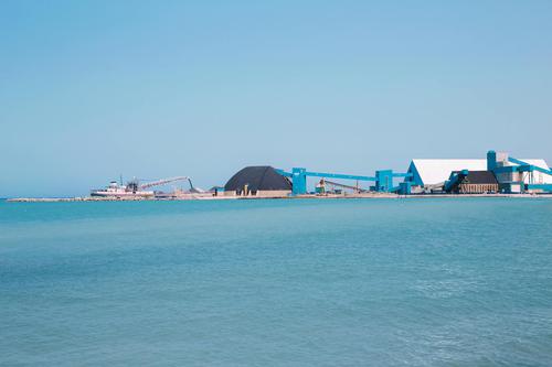 What's Driving Director Courtis's Aggressive AMR Purchases