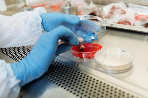 What's Driving iSpecimen's Recent Stock Surge