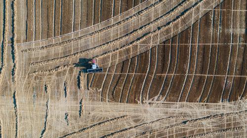 Is the Agri-Tech Market Finally Ripe for Investment in 2026