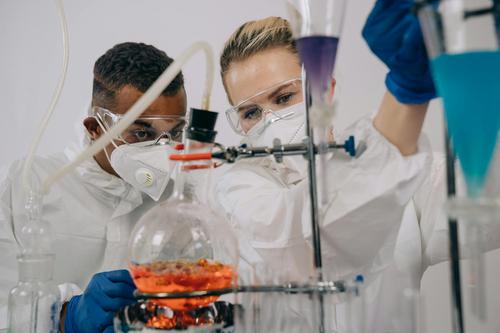What's Driving Exelixis' Recent Momentum and 2026 Outlook