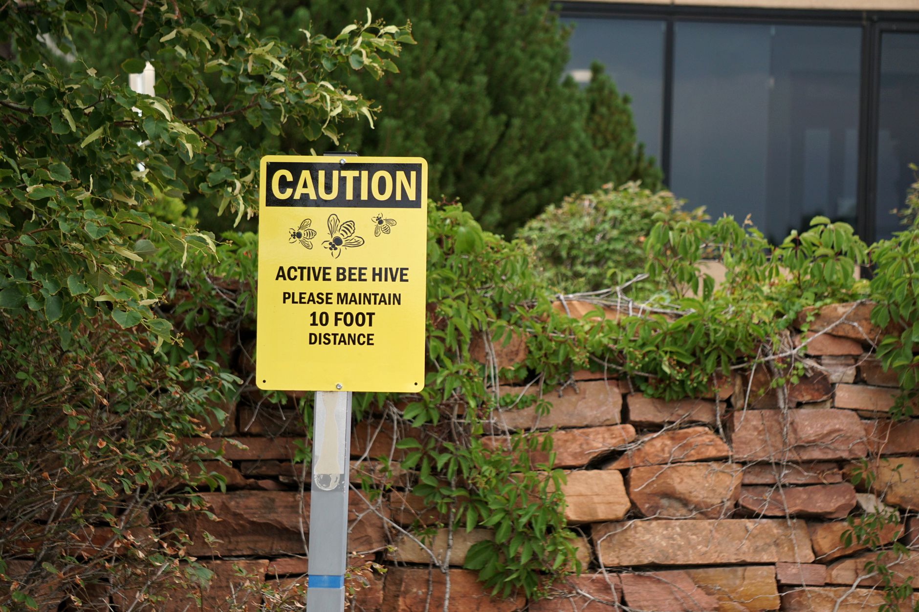 Safety Insurance's Dividend Lure Masks Persistent Insider Selling and Earnings Headwinds