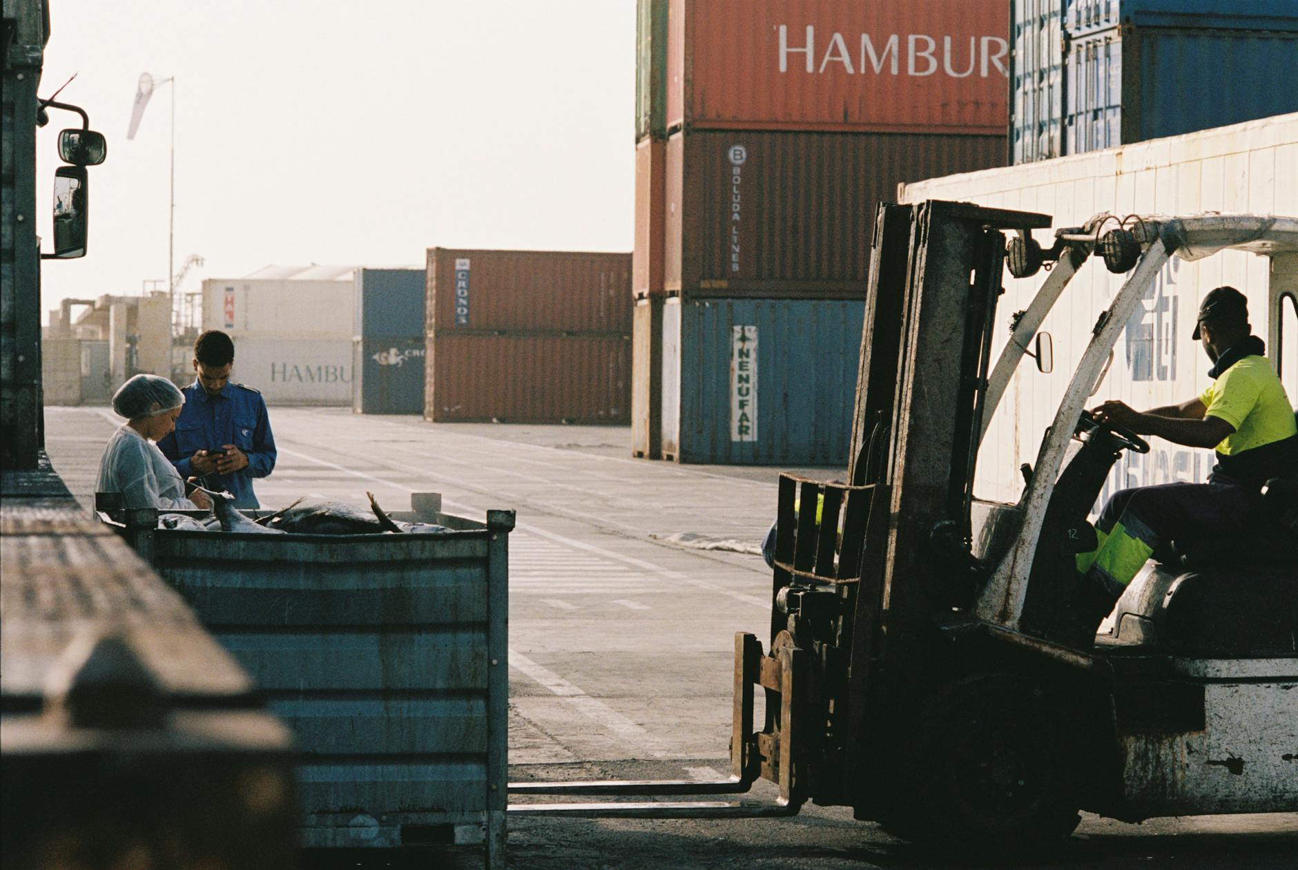 Why Are Sustainable Supply Chains the Next Frontier for Blockchain