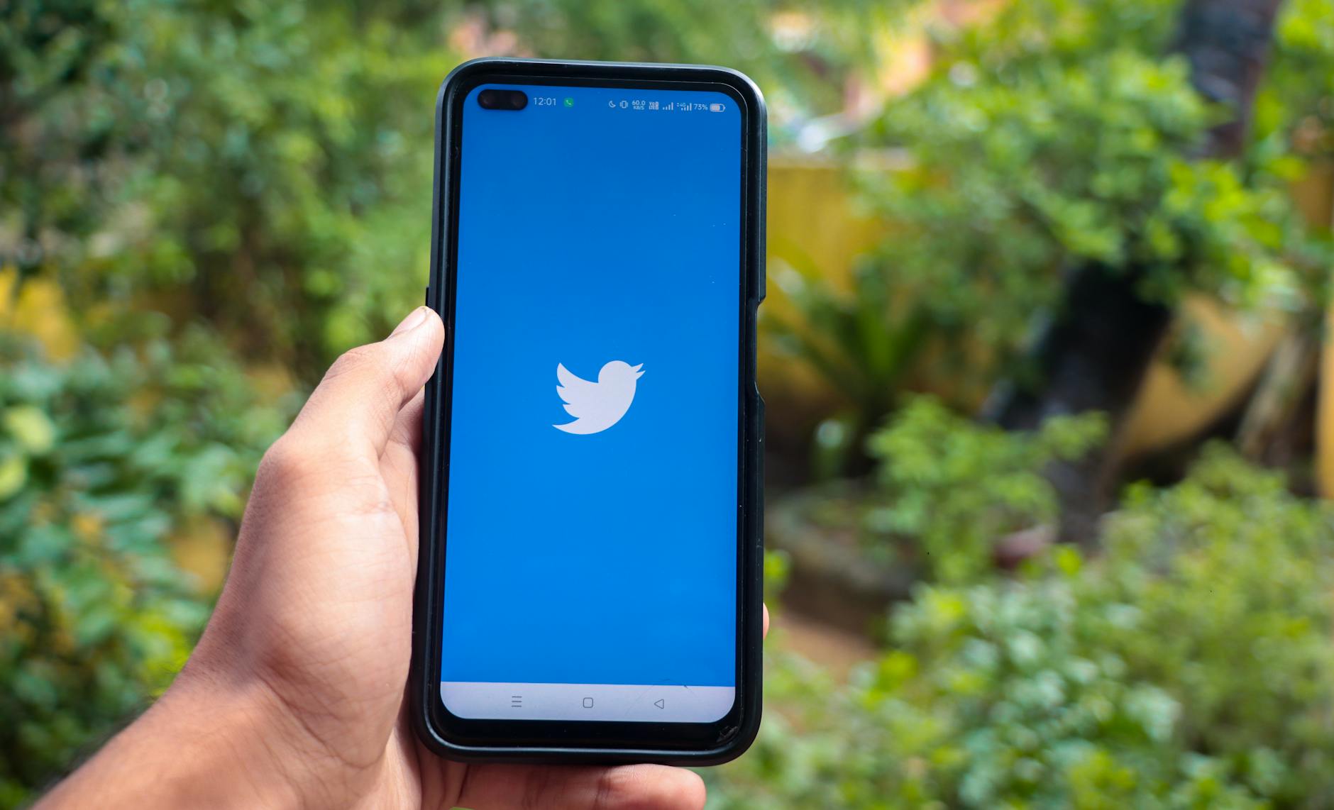 What's at Stake in the Twitter Shareholder Trial