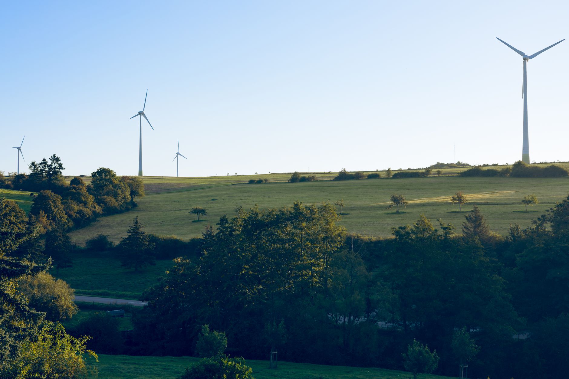 Bunge Global's Biofuel-Fueled Surge: A $15 EPS Target Masks Valuation Tensions