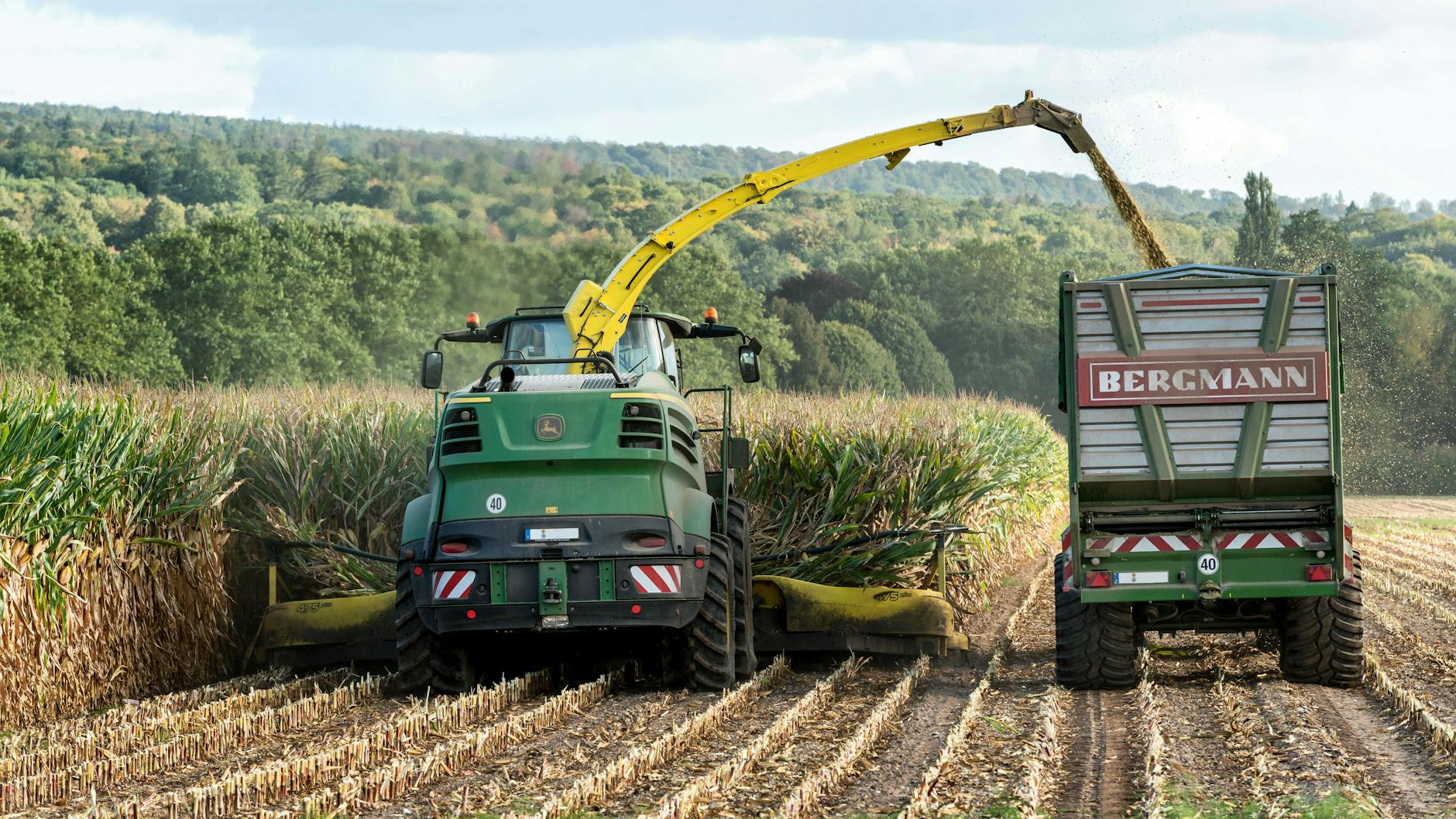Is B&G Foods' Sky-High Dividend Yield a Trap or an Opportunity
