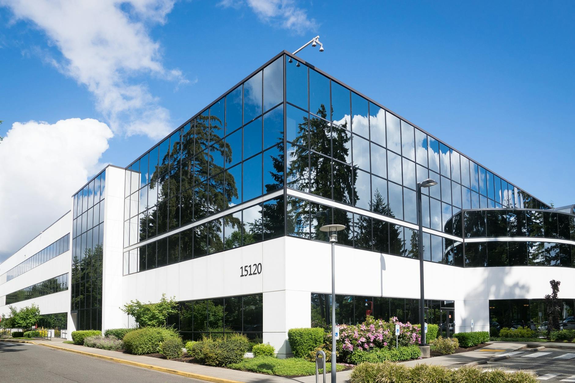 Why Did a Director Just Bet Nearly $1 Million on Angel Studios (ANGX)