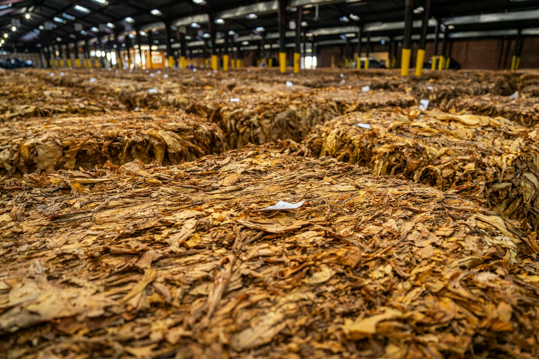 Is Philip Morris International's Smoke-Free Strategy Paying Off