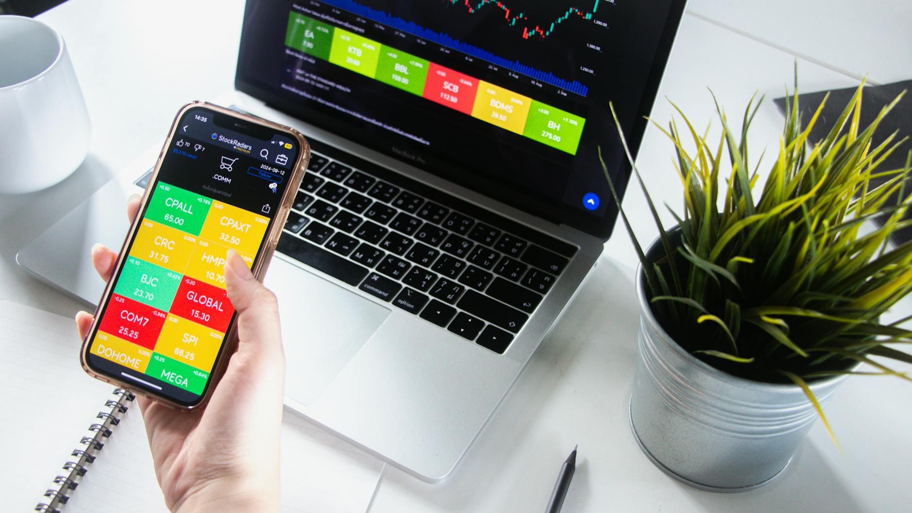 What Caused BellRing Brands' Dramatic Stock Decline