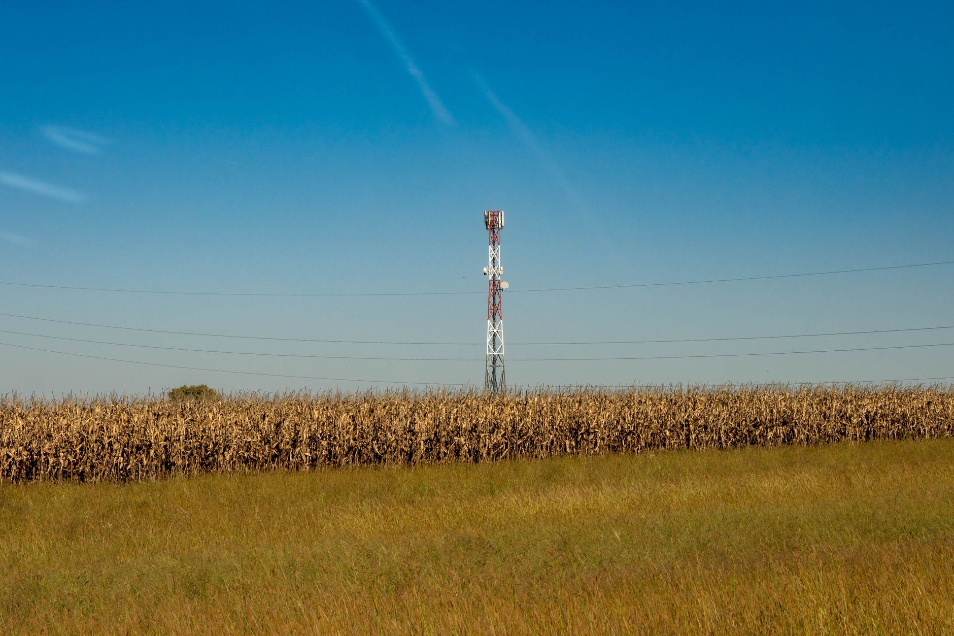 The Satellite Shadow: Starlink's Direct-to-Mobile Push Rattles Verizon, T-Mobile, and AT&T