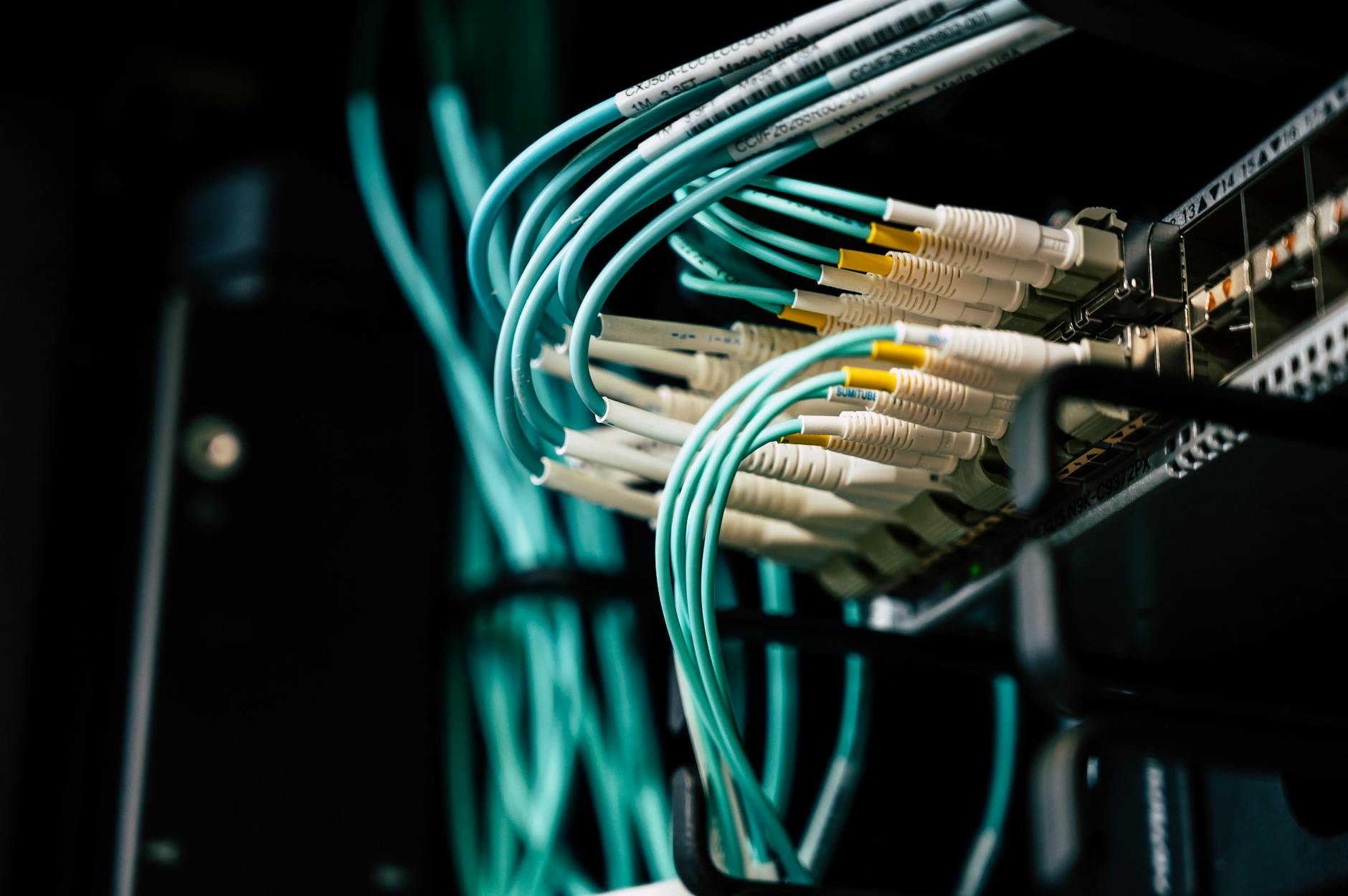 Why is Coatue Management Bullish on Broadcom