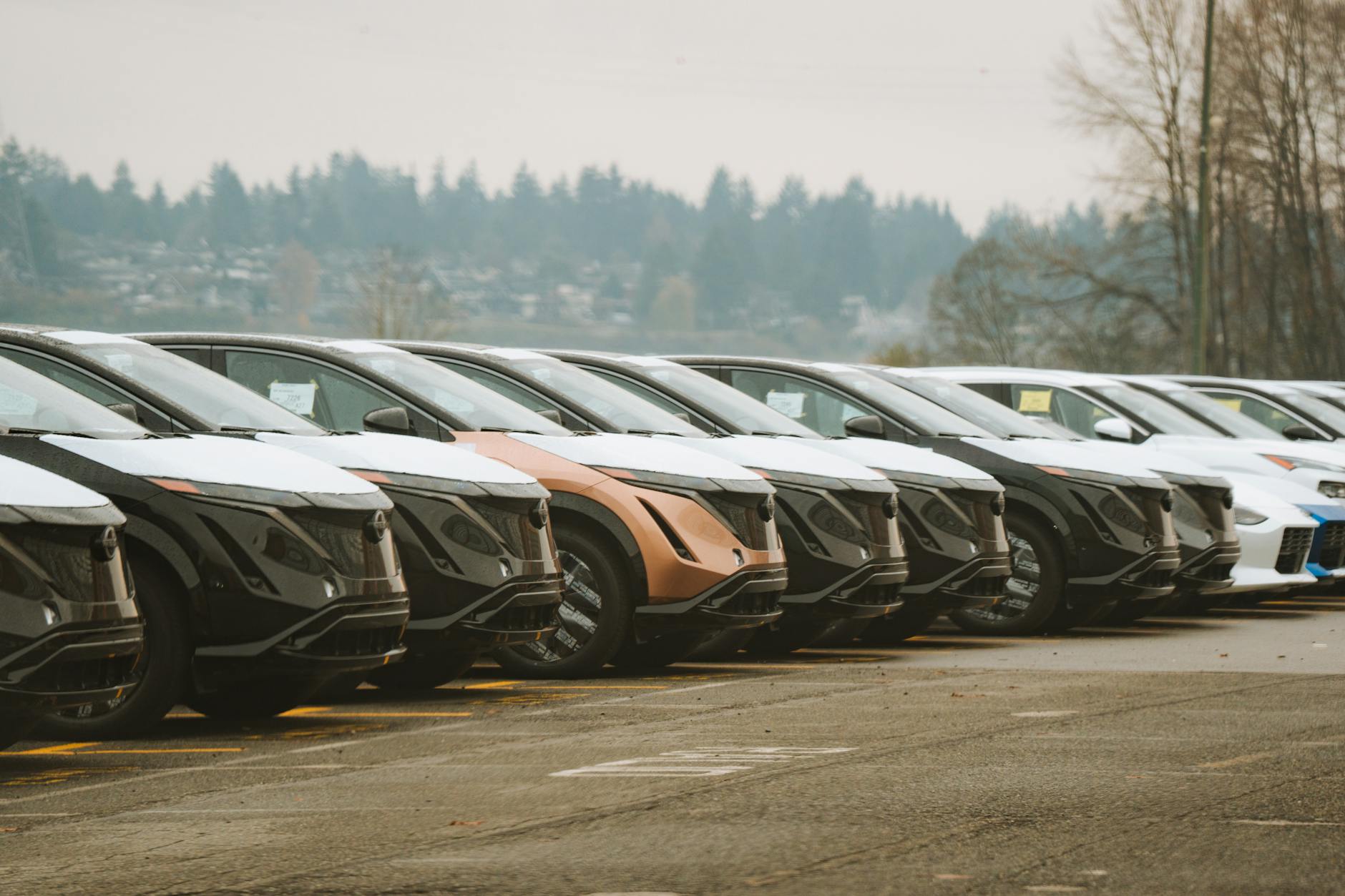 Did OPENLANE's Q1 2026 Earnings Report Exceed Expectations
