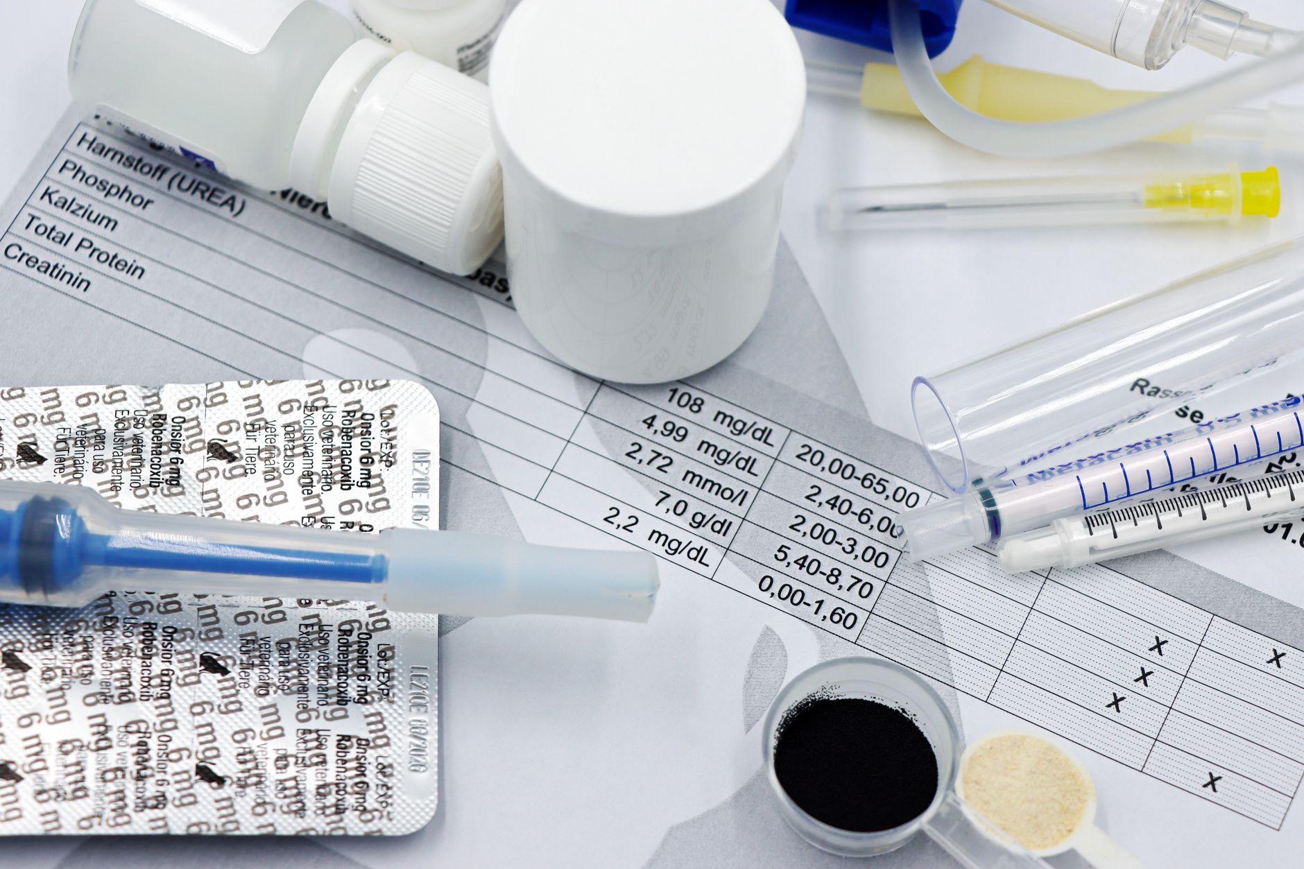 What Does the FDA's BLA Acceptance Mean for Inhibrx