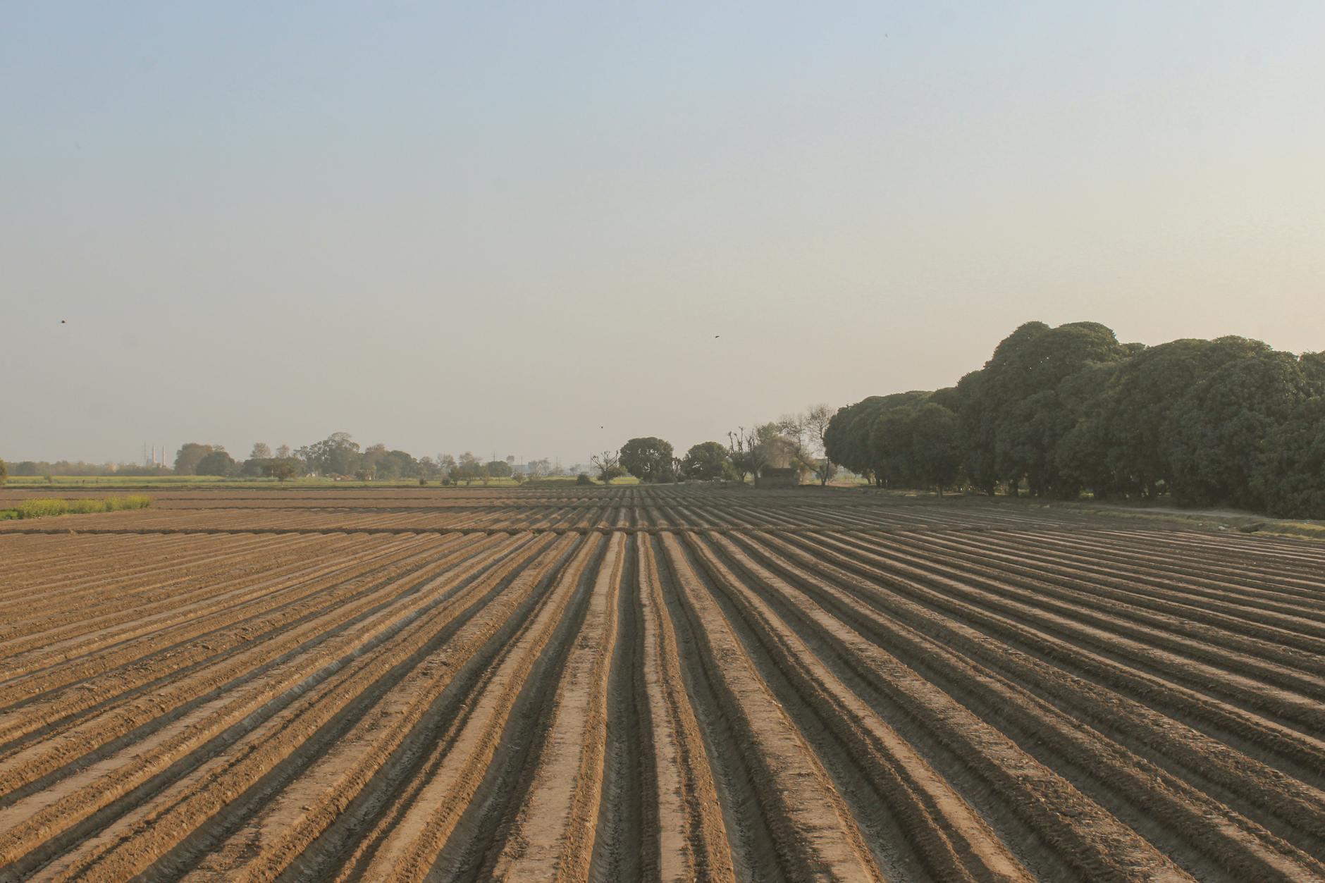 Why Are Soybean Futures Surging to Two-Year Highs