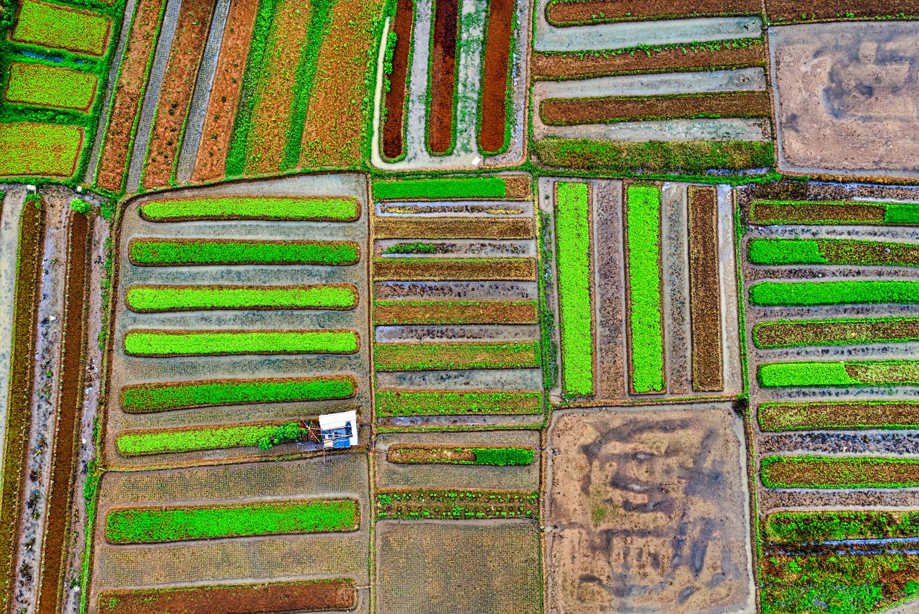 Why is Satellite-Based Precision Agriculture a Game-Changer for Farmers