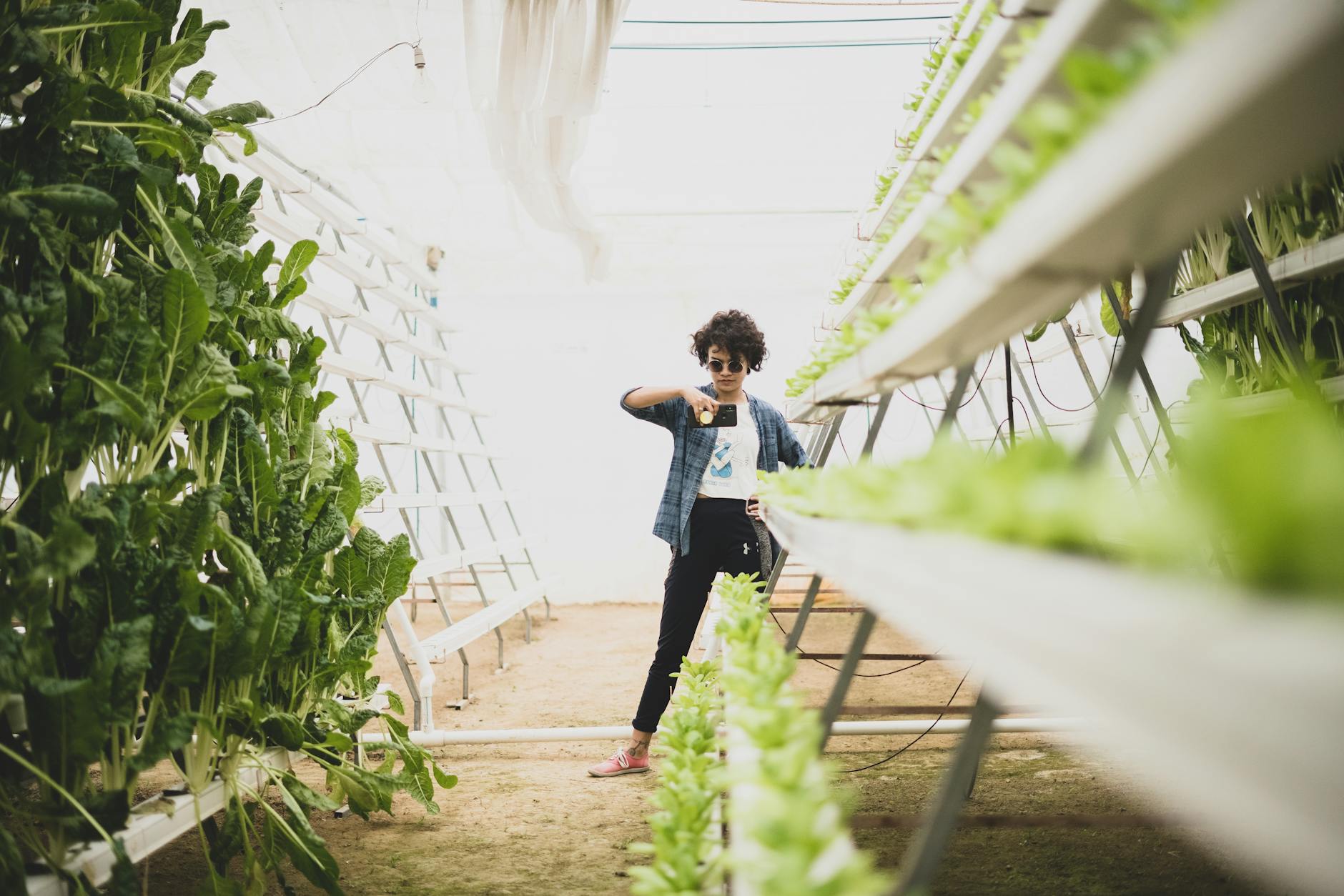 Has Vertical Farming's Dream Turned into a Nightmare for Investors