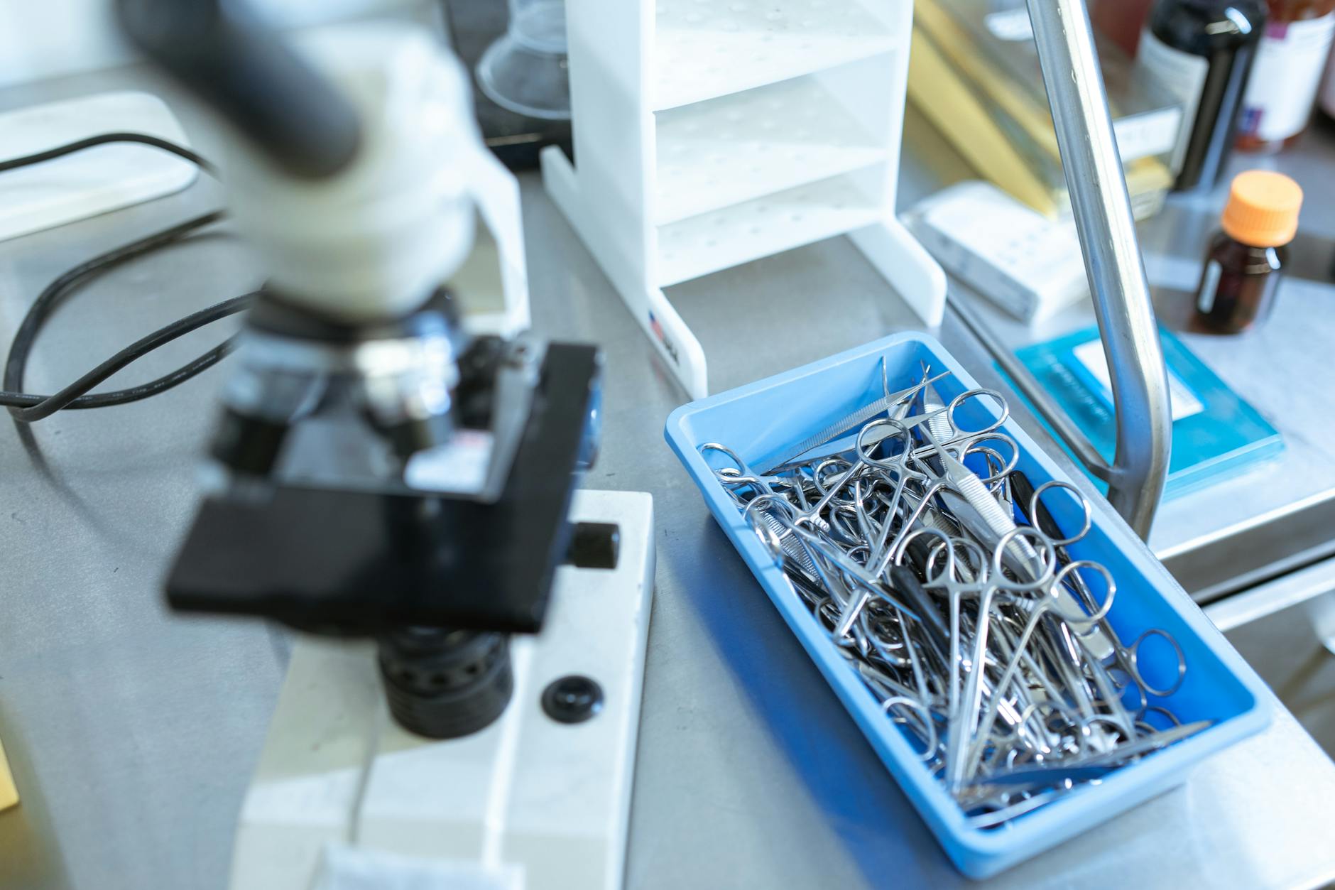 What Factors Led to 20/20 Biolabs' Dramatic Stock Collapse