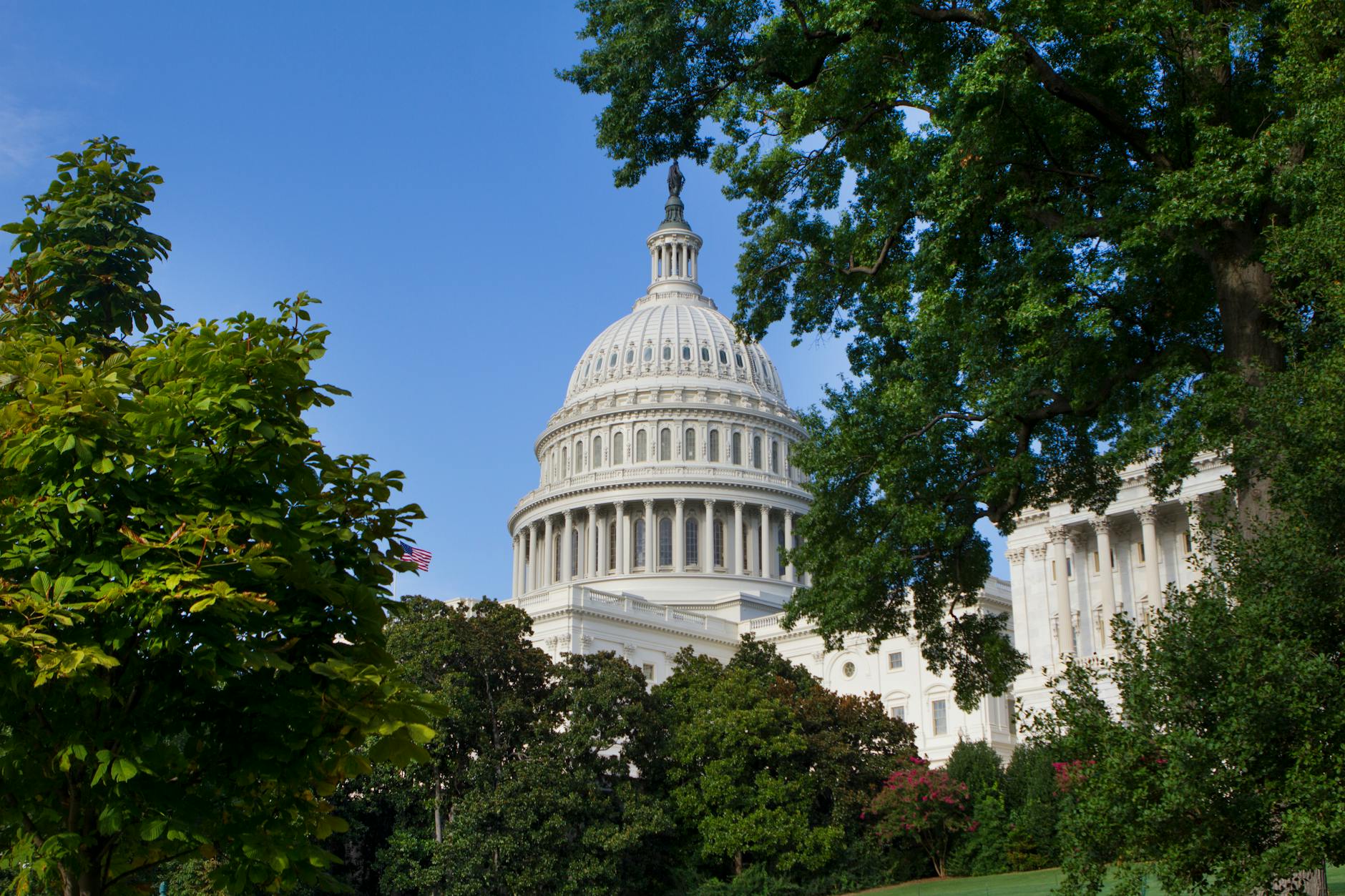Why Are Lawmakers Betting Big on Citigroup
