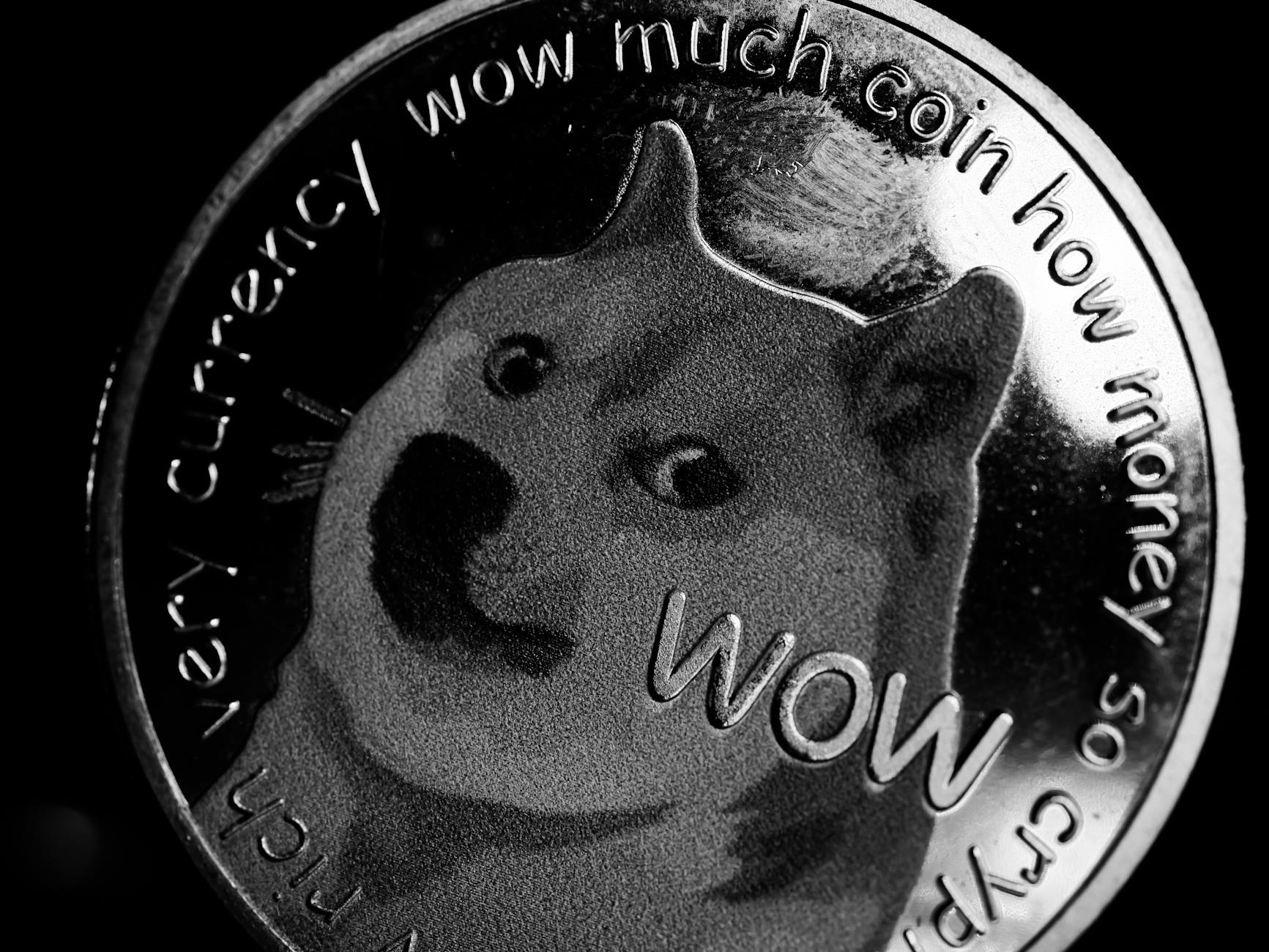 Is Dogecoin's Price Action Driven by More Than Just Memes