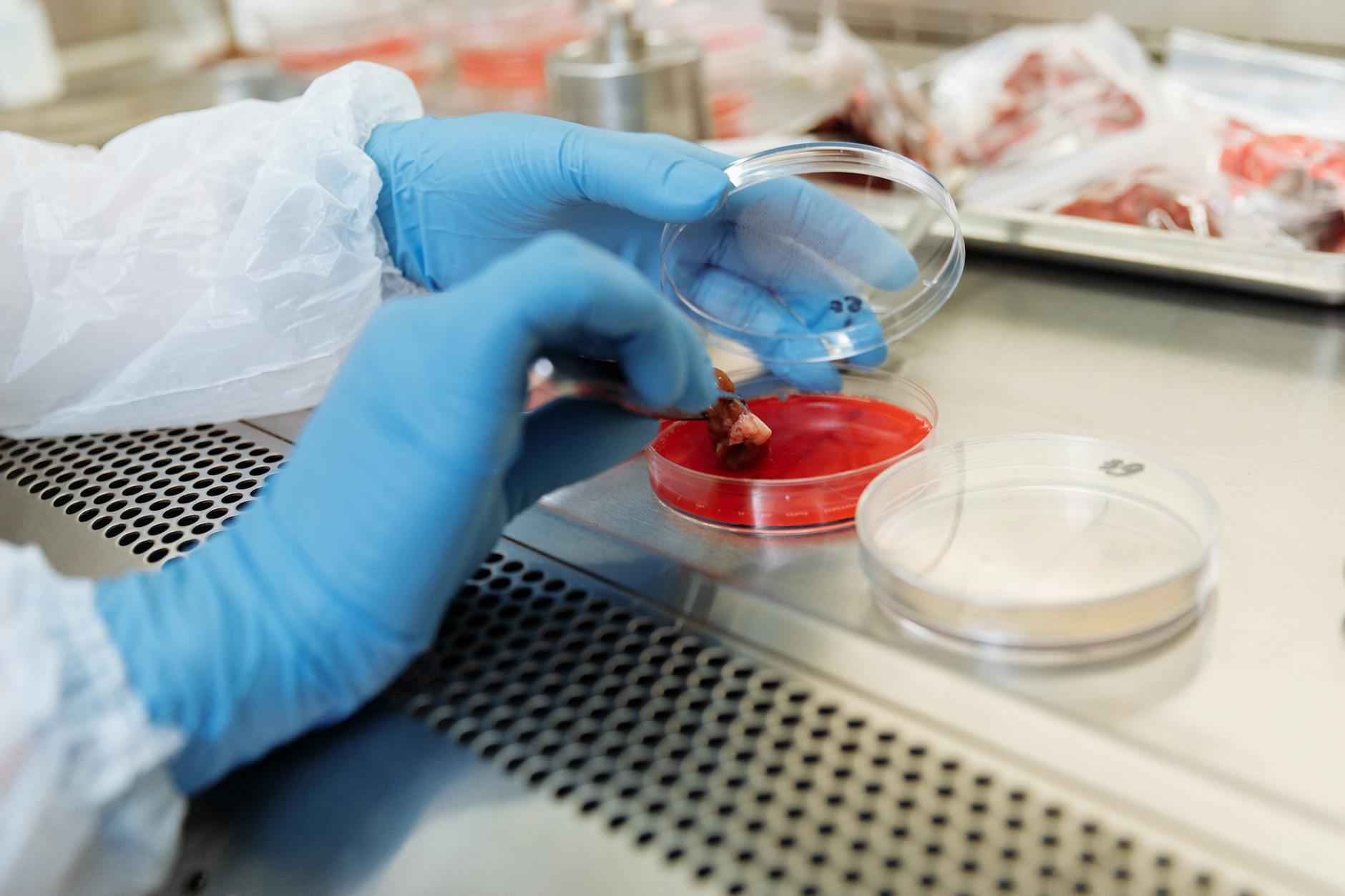 What's Driving iSpecimen's Recent Stock Surge
