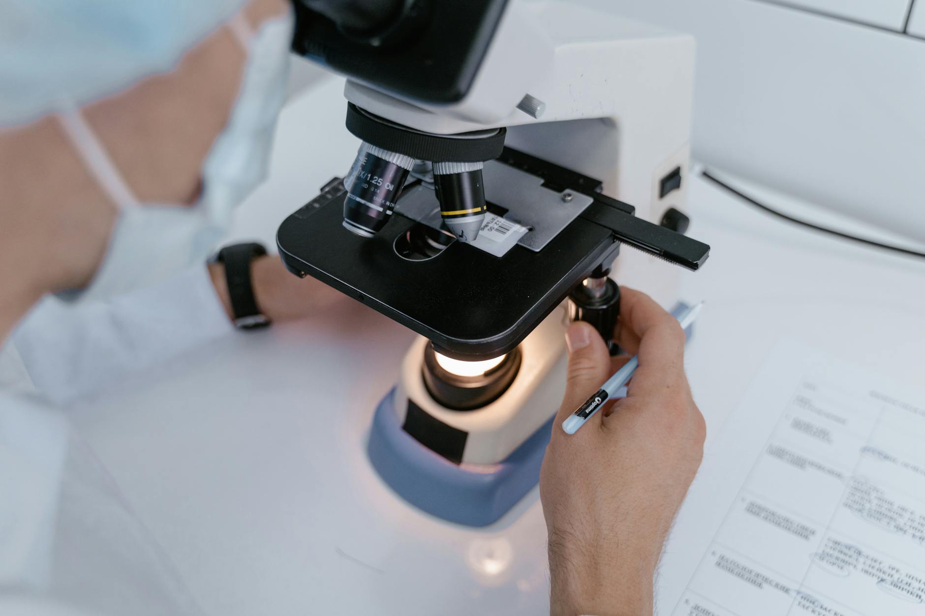 What's Driving Junshi Biosciences' Recent Momentum
