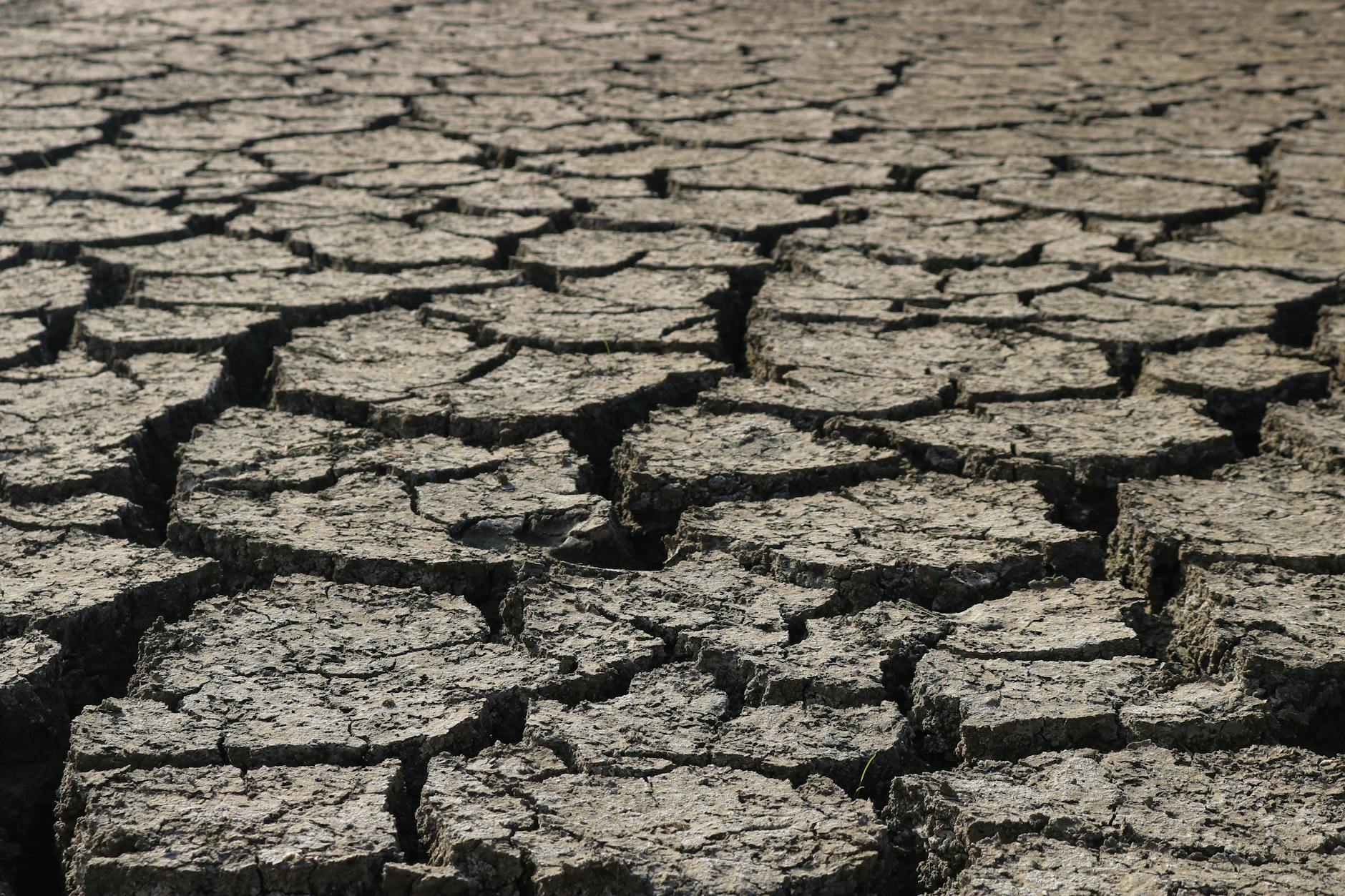 Is California's Home Insurance Crisis a Bellwether for the Nation